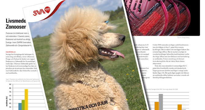 Informationsbroschyr över utbyggnaden av Förbifart Stockholm, 8-sidig / Trafikverket