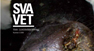 SVA:s tidning SVAVET, 28-sidig / Statens veterinärmedicinska anstalt