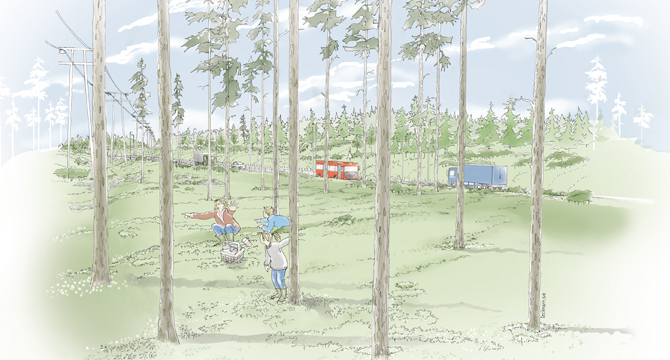 Väg i låg profil mellan Visättra och Stensättra dalgång / Trafikverket