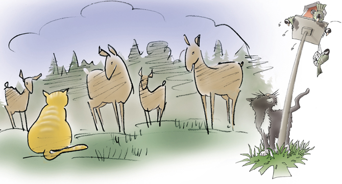 Exempel på en serie av 42 bilder till barnböckerna om Gustav Katt och Mysan