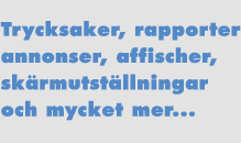 Tecknarn - grafisk produktion